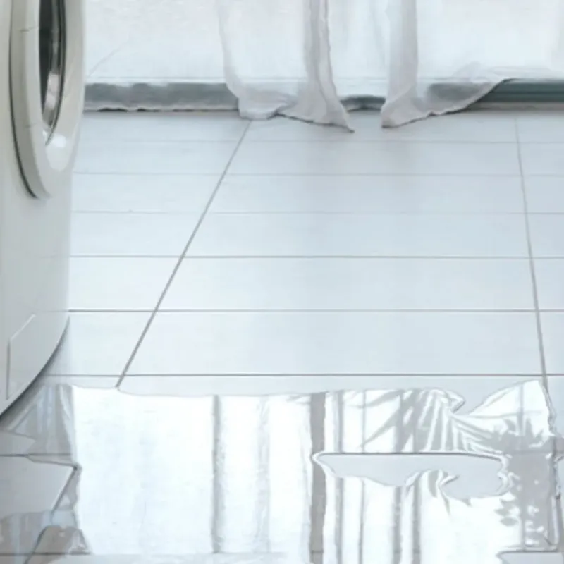 Appliance Leak Cleanup in East Florence, AL