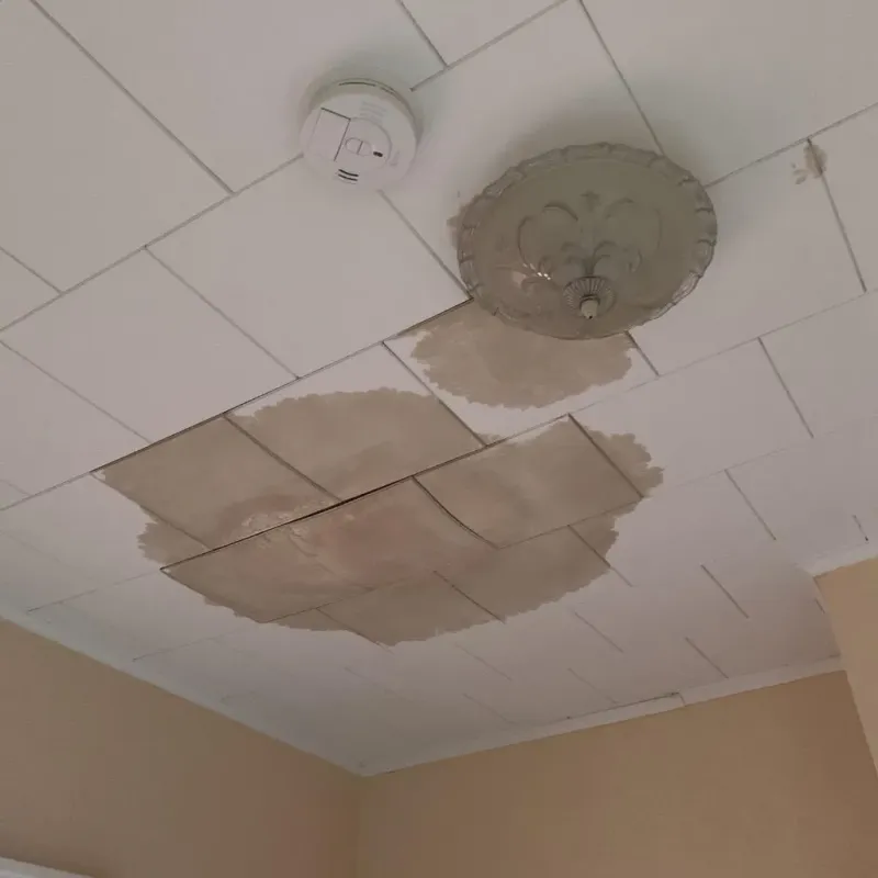 Ceiling Water Damage Repair in East Florence, AL