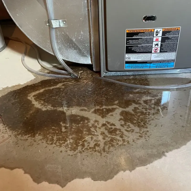 Pipe Burst and Leak Restoration in East Florence, AL